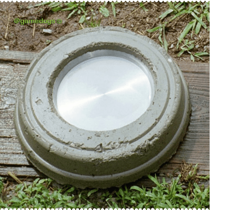 concrete dog food bowls