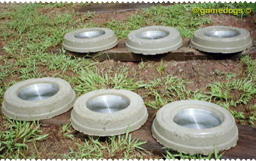 set of six concrete feed bowls curing