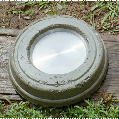 concrete feed bowl
